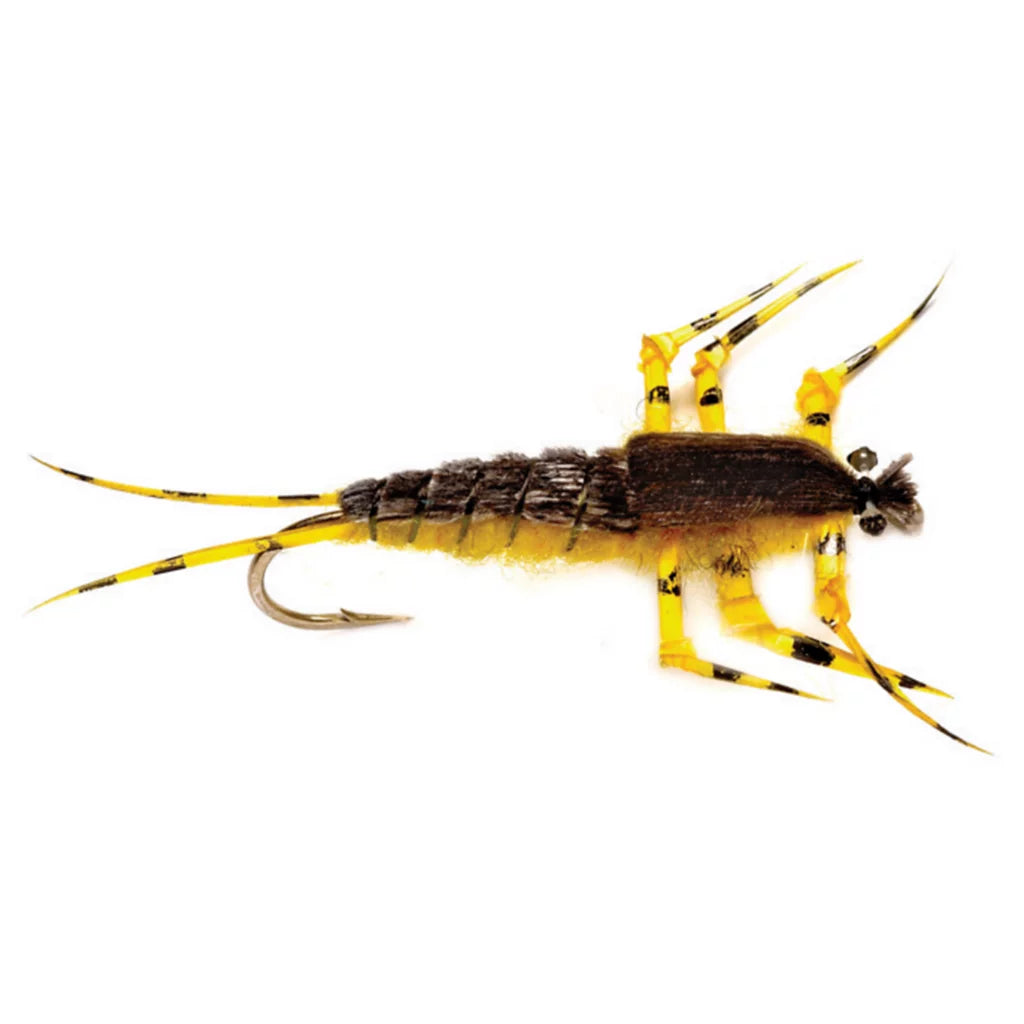 Ted’s Golden Stone