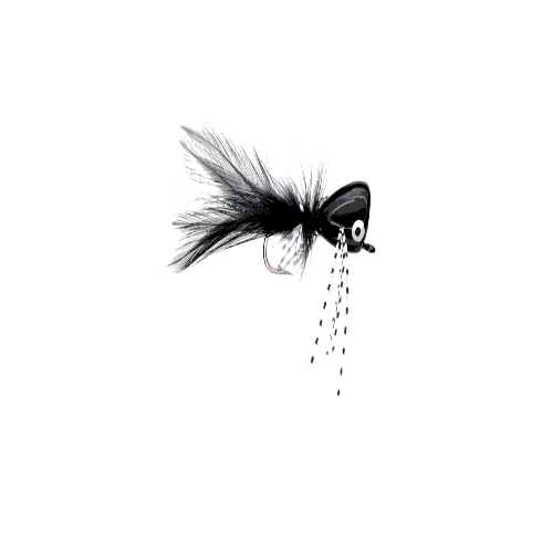 Black Bass Popper