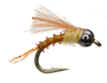 PMD Biot Emerger