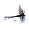 Black Gnat dry fishing fly