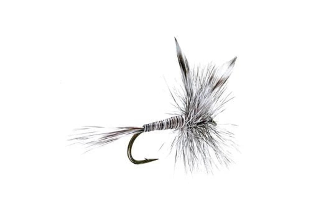 Mosquito Classic Trout Dry Fly Assortment